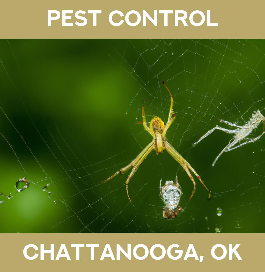 pest control in Chattanooga Oklahoma