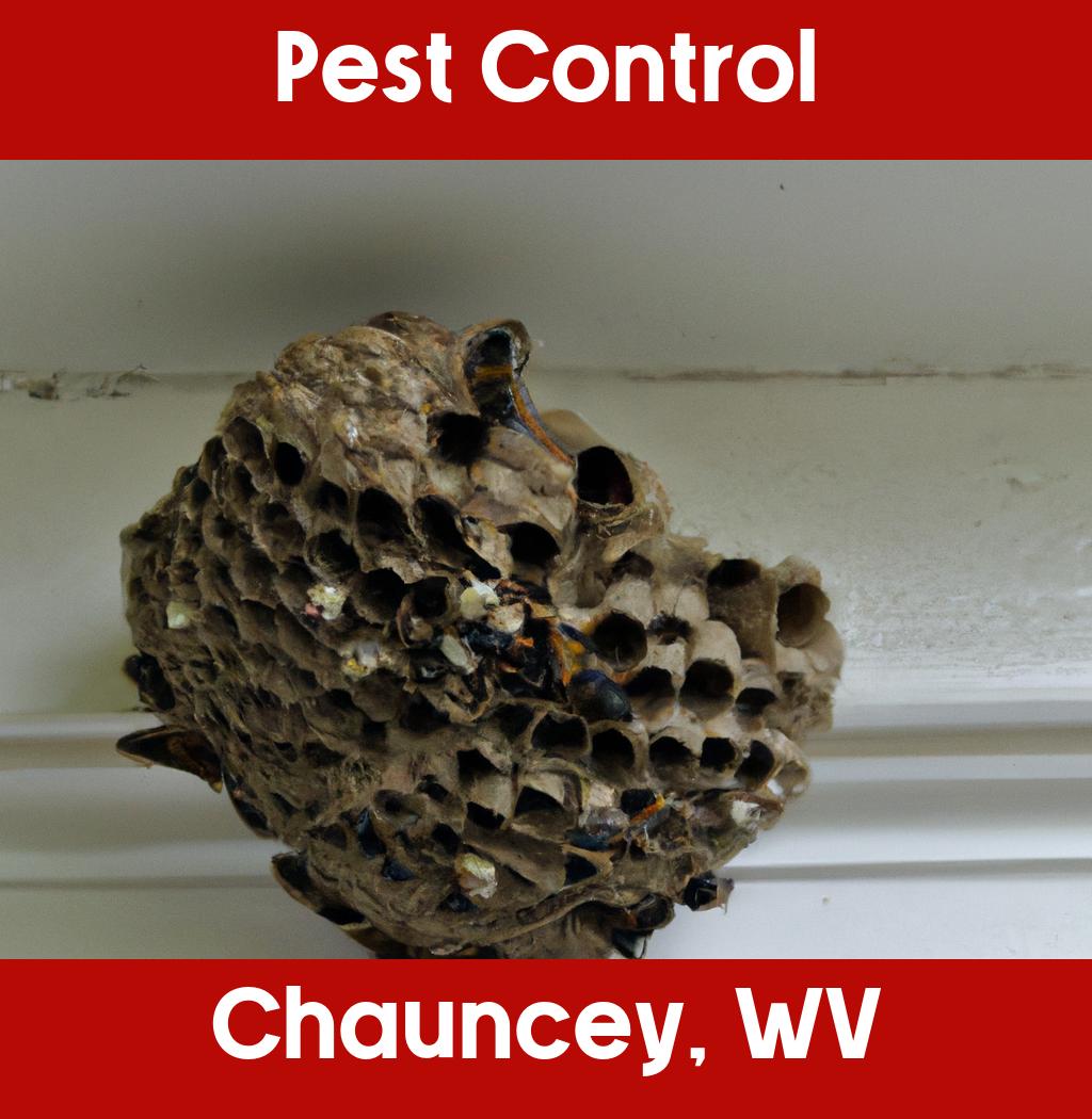 pest control in Chauncey West Virginia