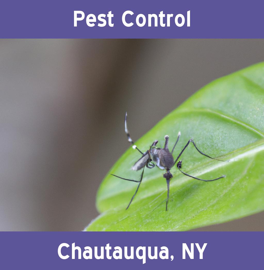 pest control in Chautauqua New York