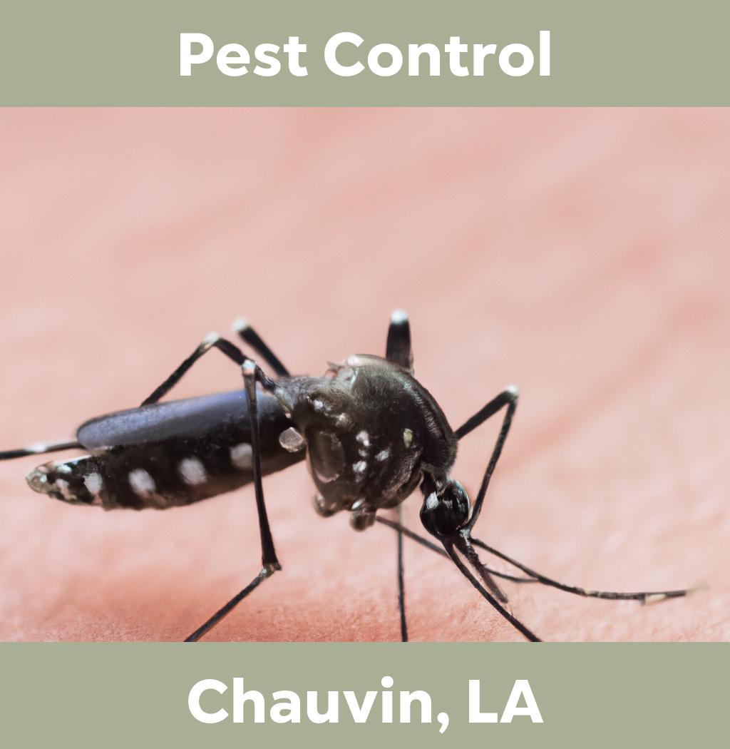 pest control in Chauvin Louisiana