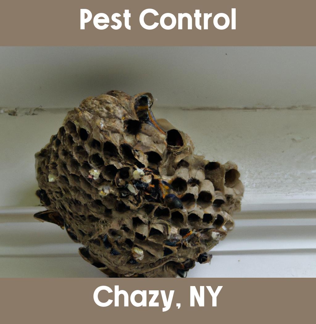 pest control in Chazy New York