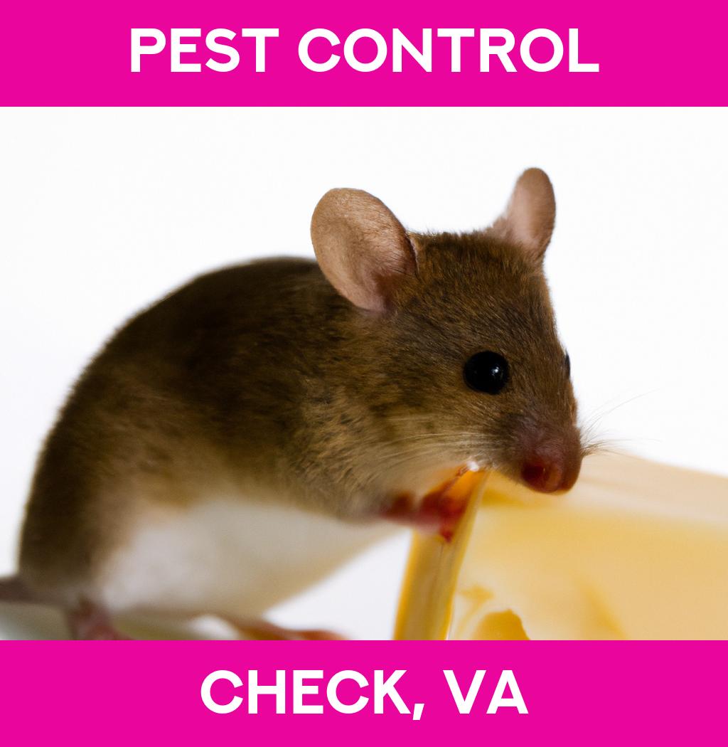 pest control in Check Virginia