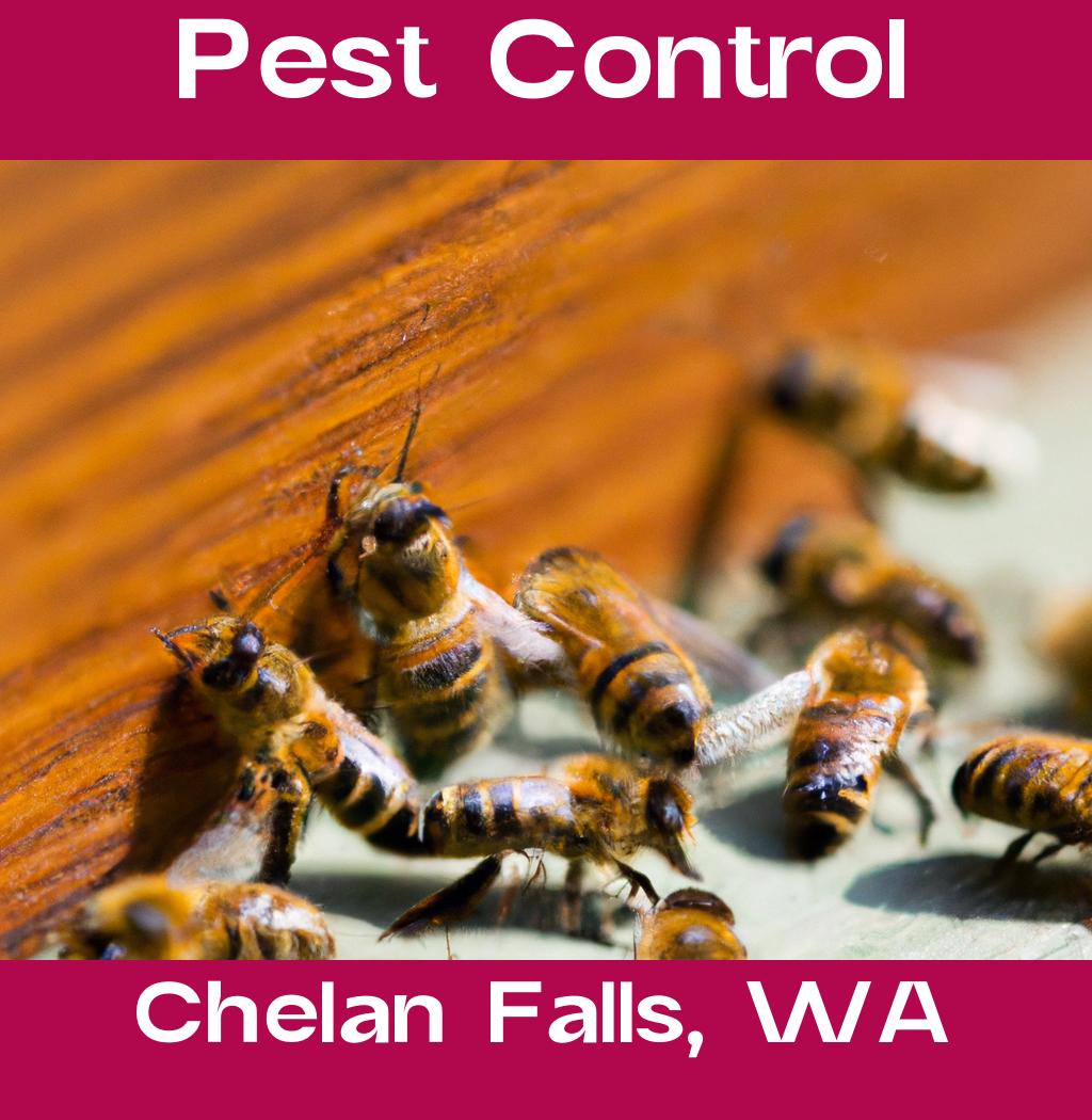 pest control in Chelan Falls Washington