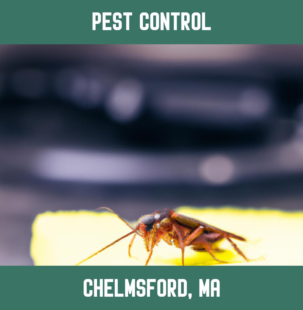 pest control in Chelmsford Massachusetts