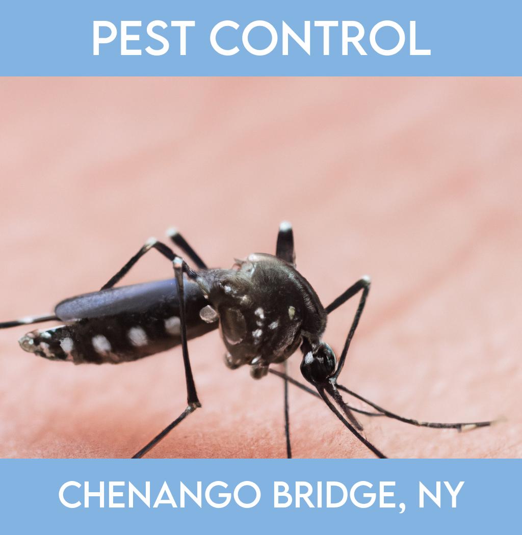 pest control in Chenango Bridge New York