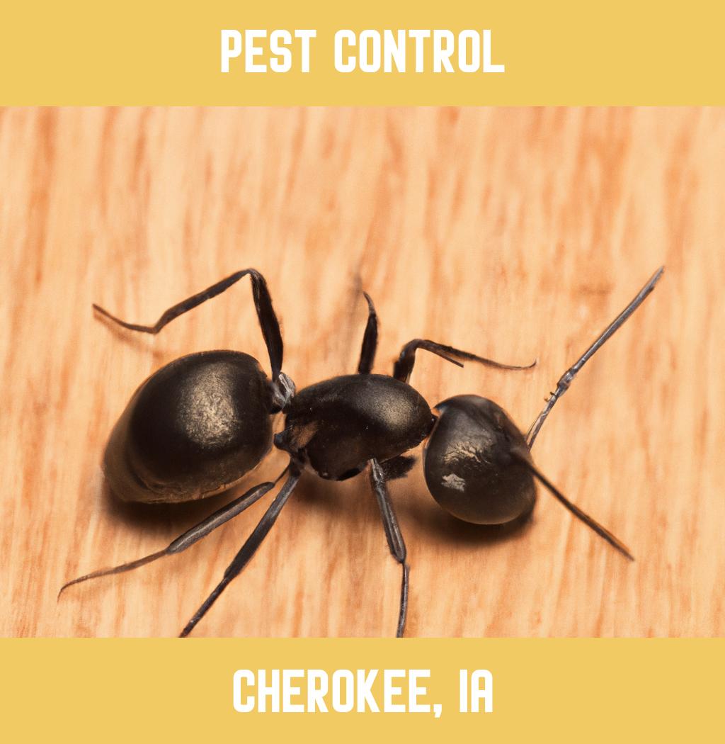 pest control in Cherokee Iowa