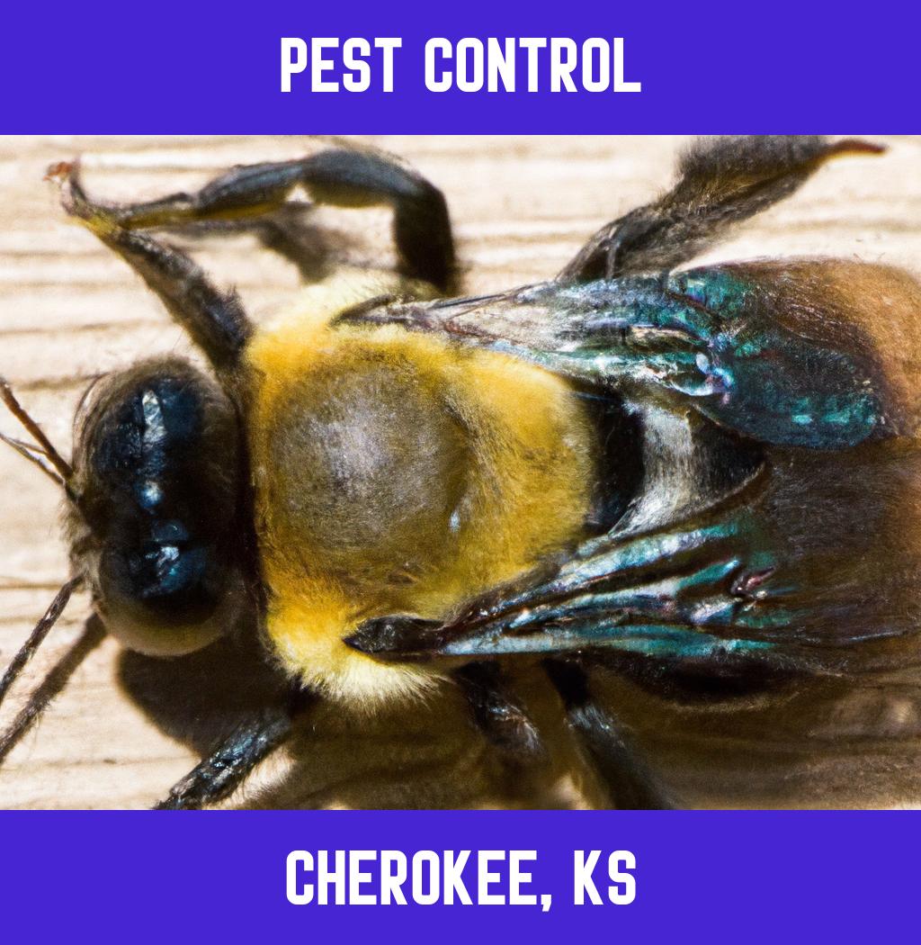 pest control in Cherokee Kansas