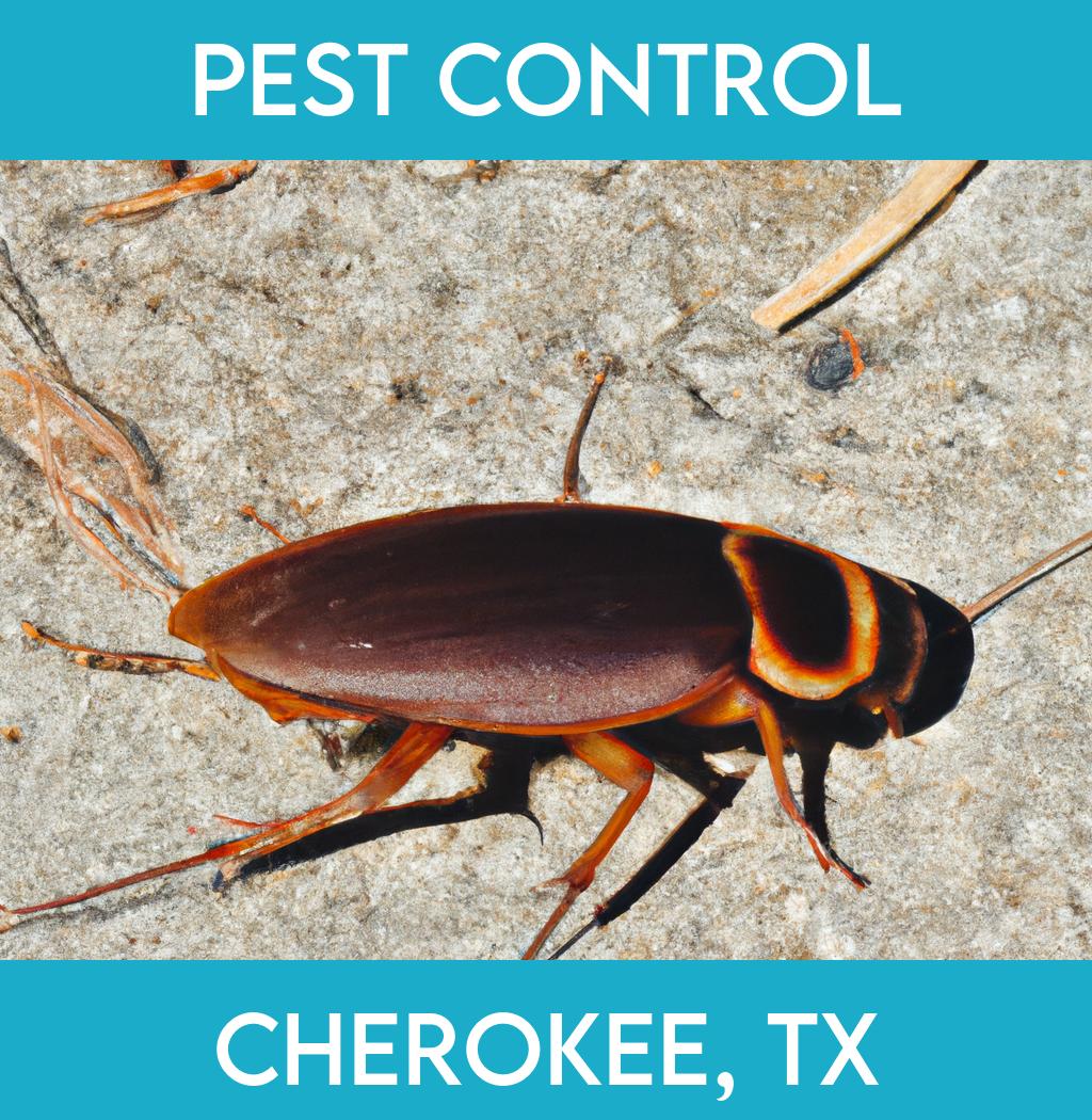 pest control in Cherokee Texas