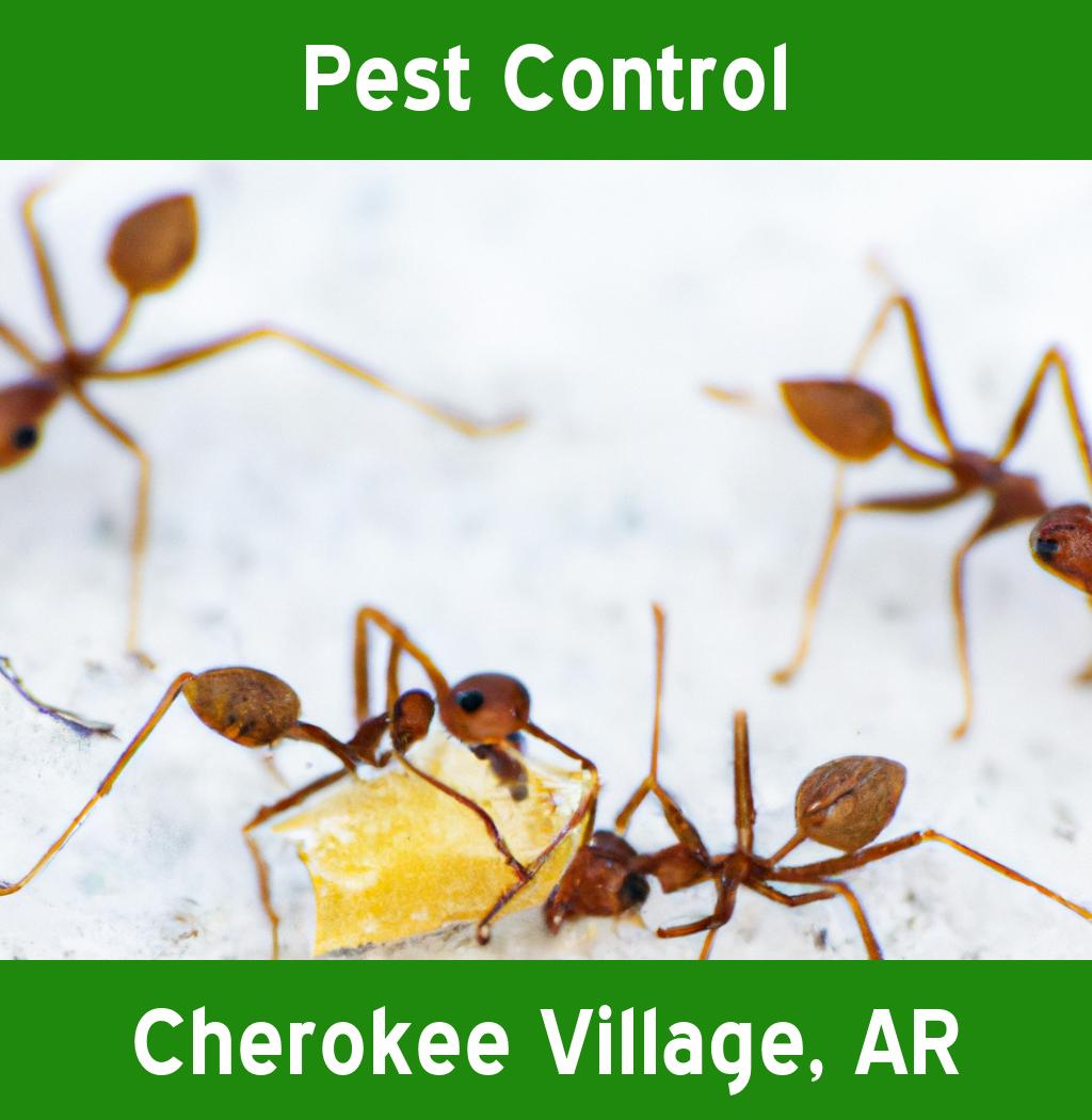 pest control in Cherokee Village Arkansas