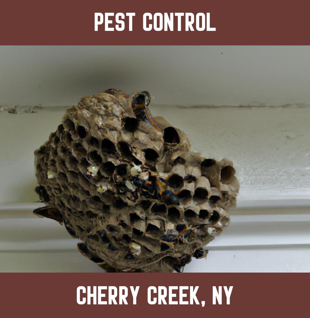 pest control in Cherry Creek New York