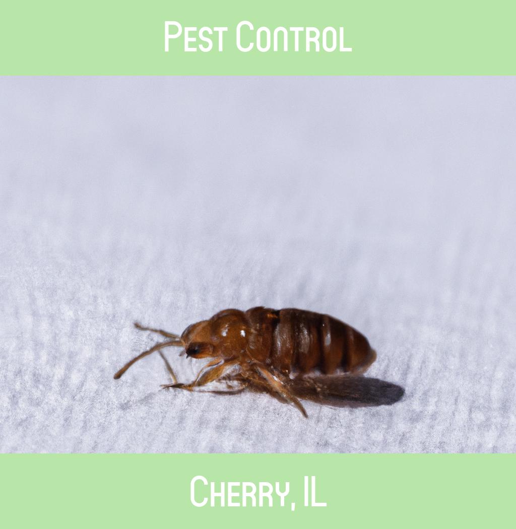 pest control in Cherry Illinois