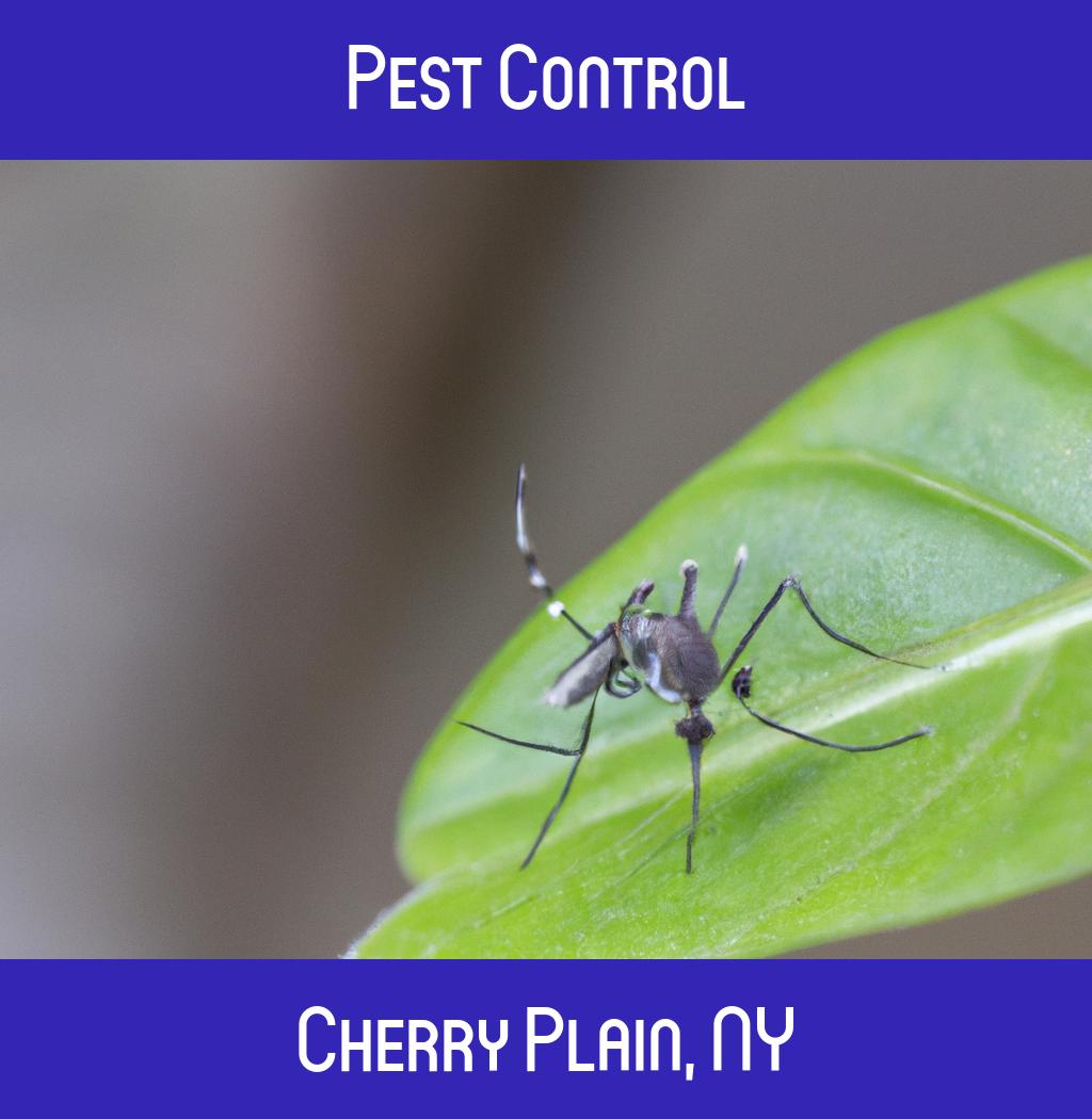 pest control in Cherry Plain New York