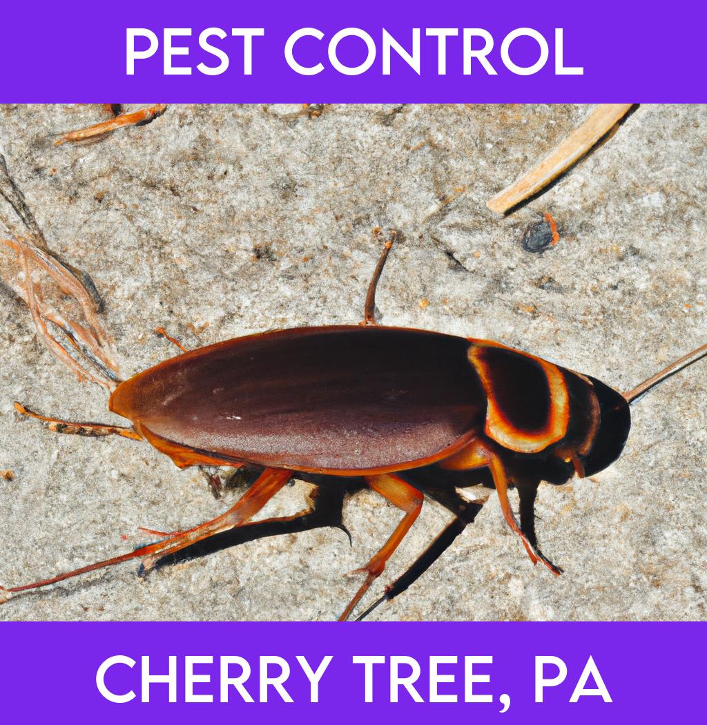 pest control in Cherry Tree Pennsylvania