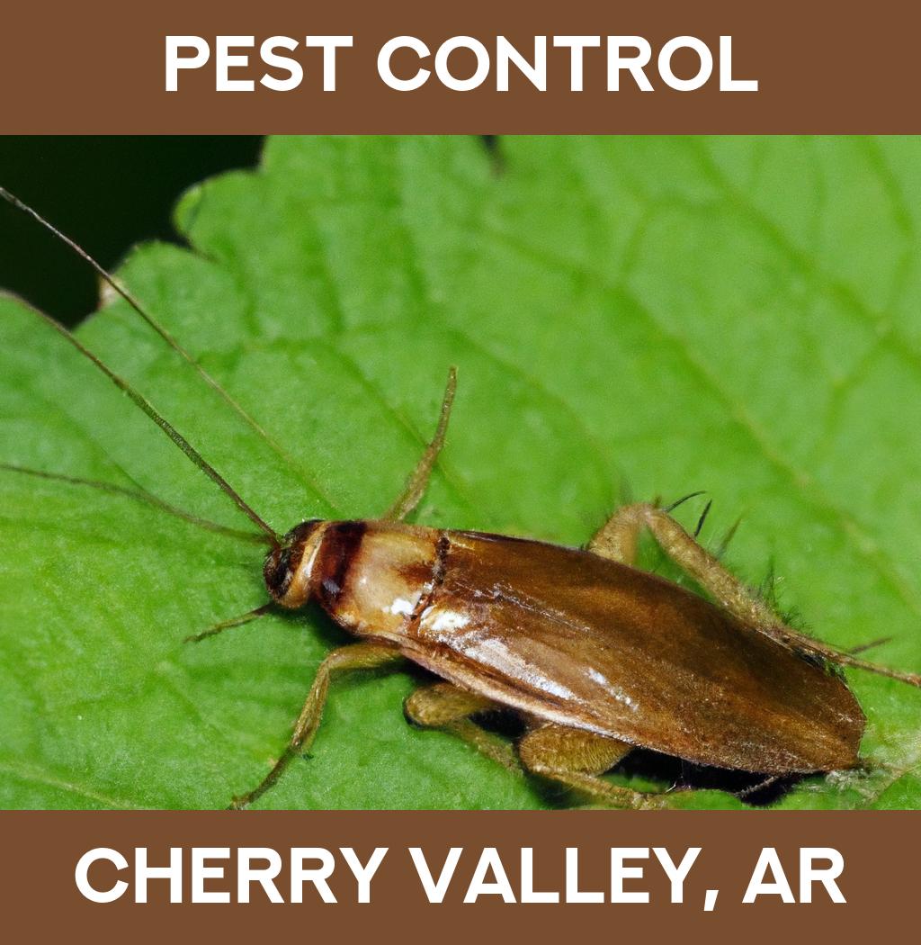 pest control in Cherry Valley Arkansas