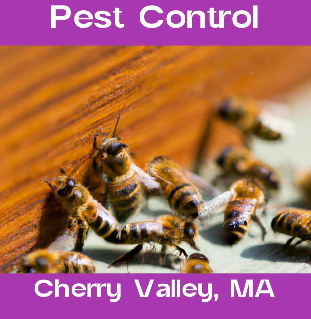pest control in Cherry Valley Massachusetts