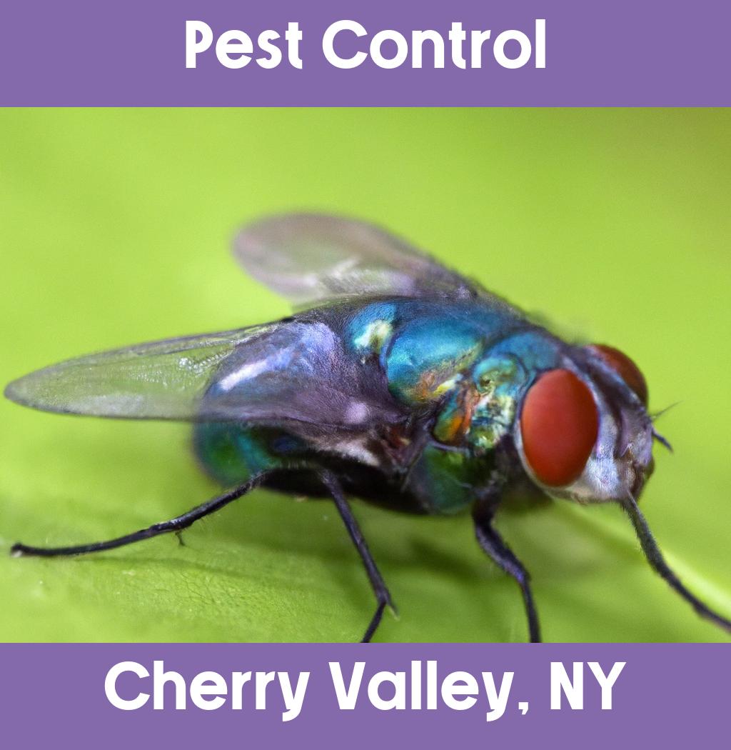 pest control in Cherry Valley New York