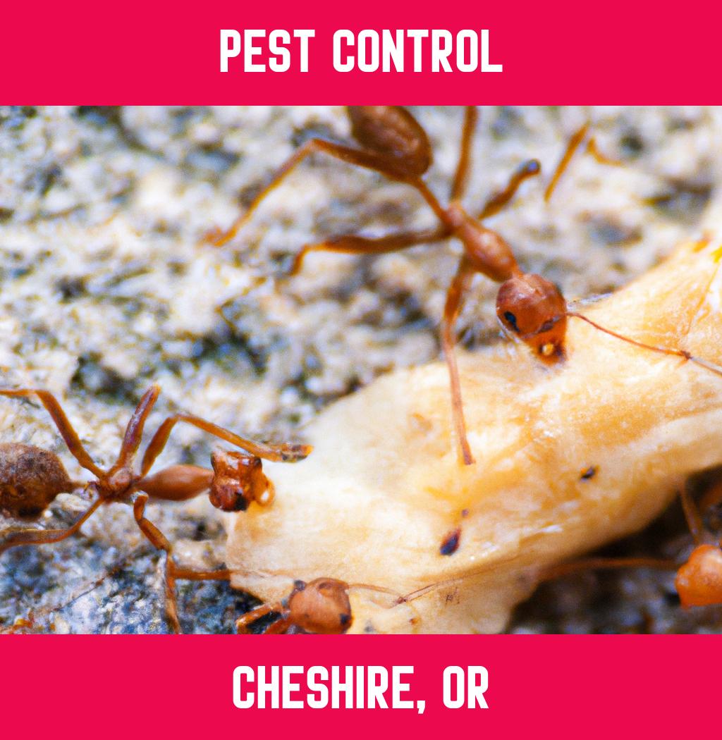 pest control in Cheshire Oregon