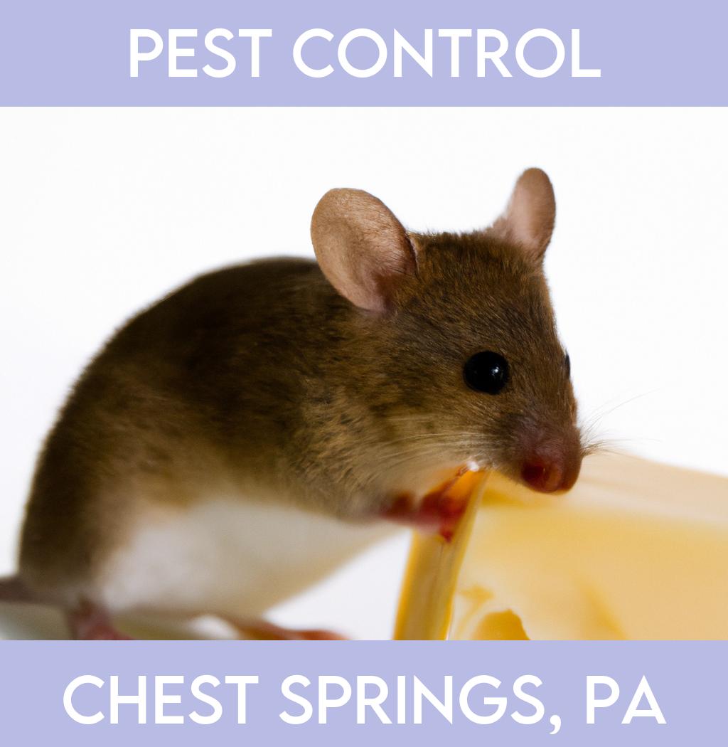 pest control in Chest Springs Pennsylvania