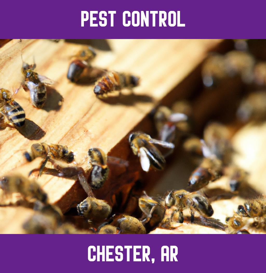 pest control in Chester Arkansas