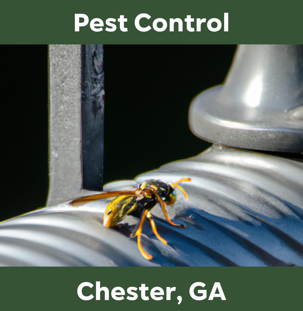 pest control in Chester Georgia