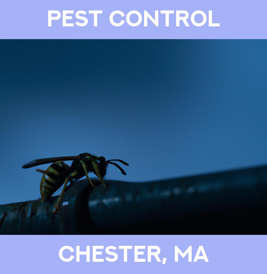 pest control in Chester Massachusetts