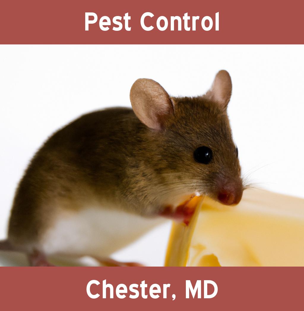 pest control in Chester Maryland