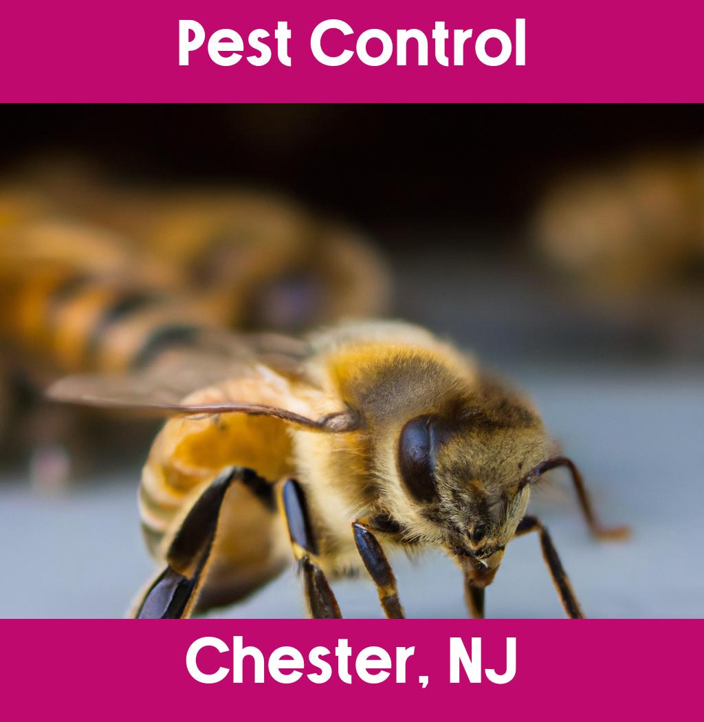 pest control in Chester New Jersey