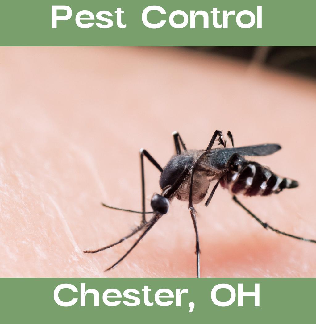 pest control in Chester Ohio