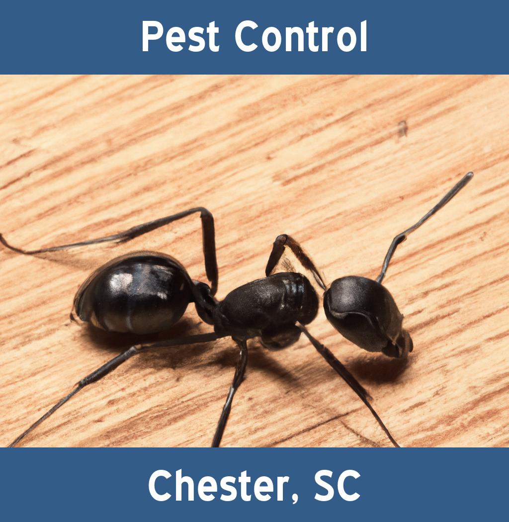 pest control in Chester South Carolina