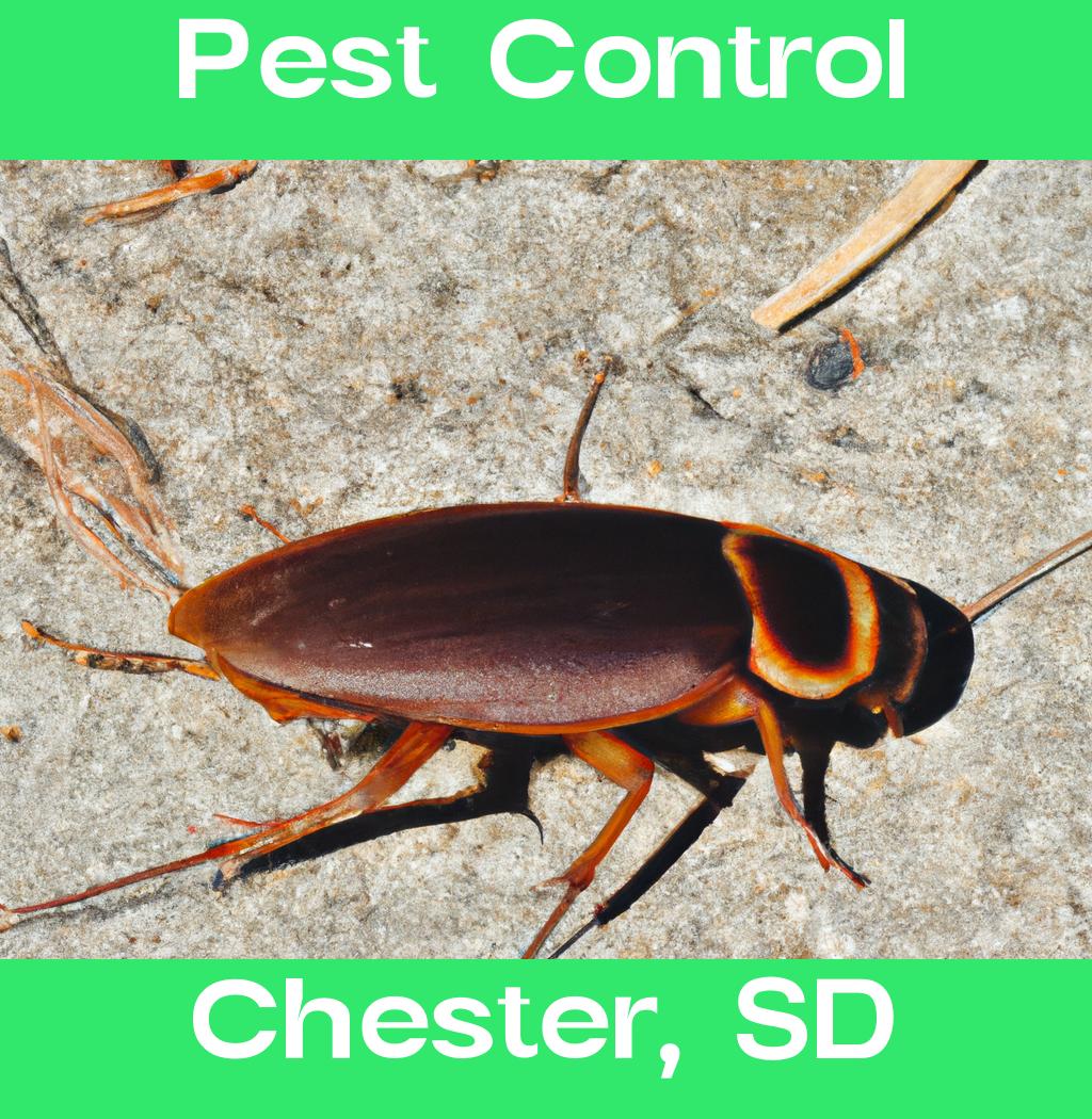 pest control in Chester South Dakota