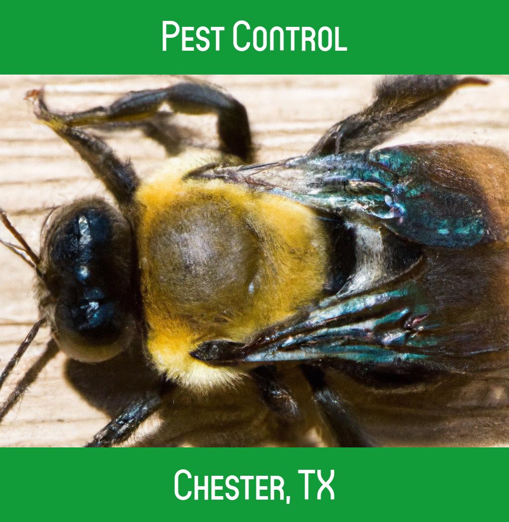 pest control in Chester Texas