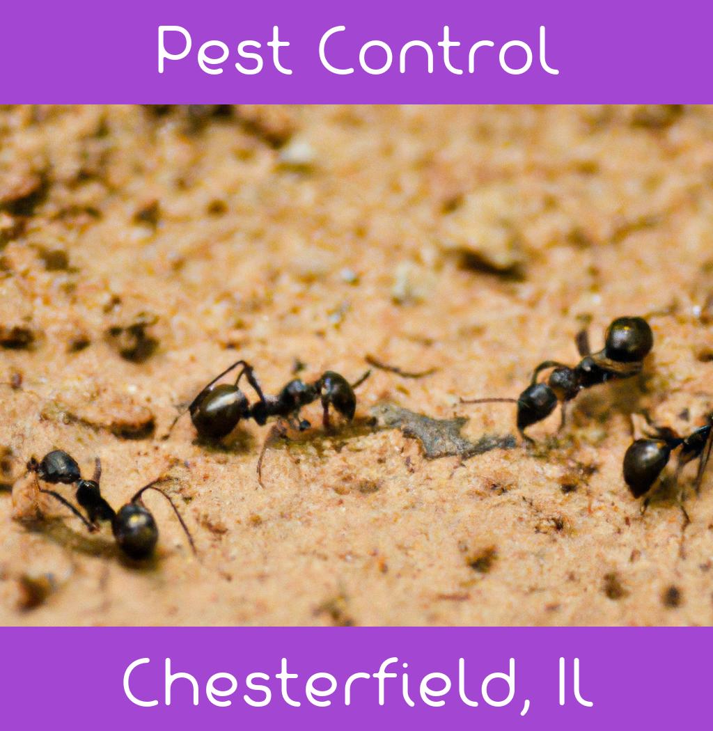 pest control in Chesterfield Illinois