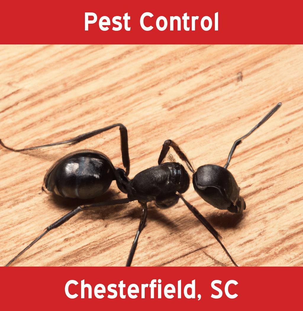 pest control in Chesterfield South Carolina
