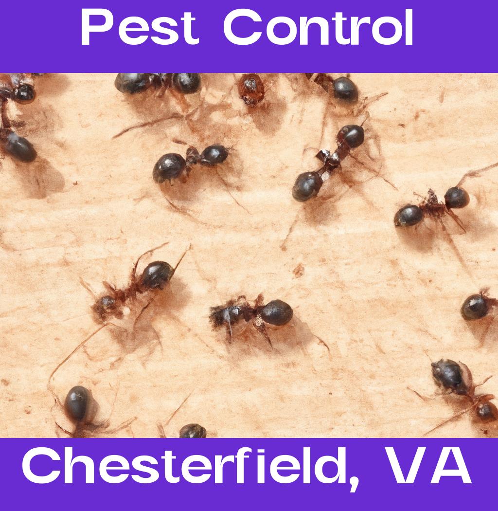 pest control in Chesterfield Virginia