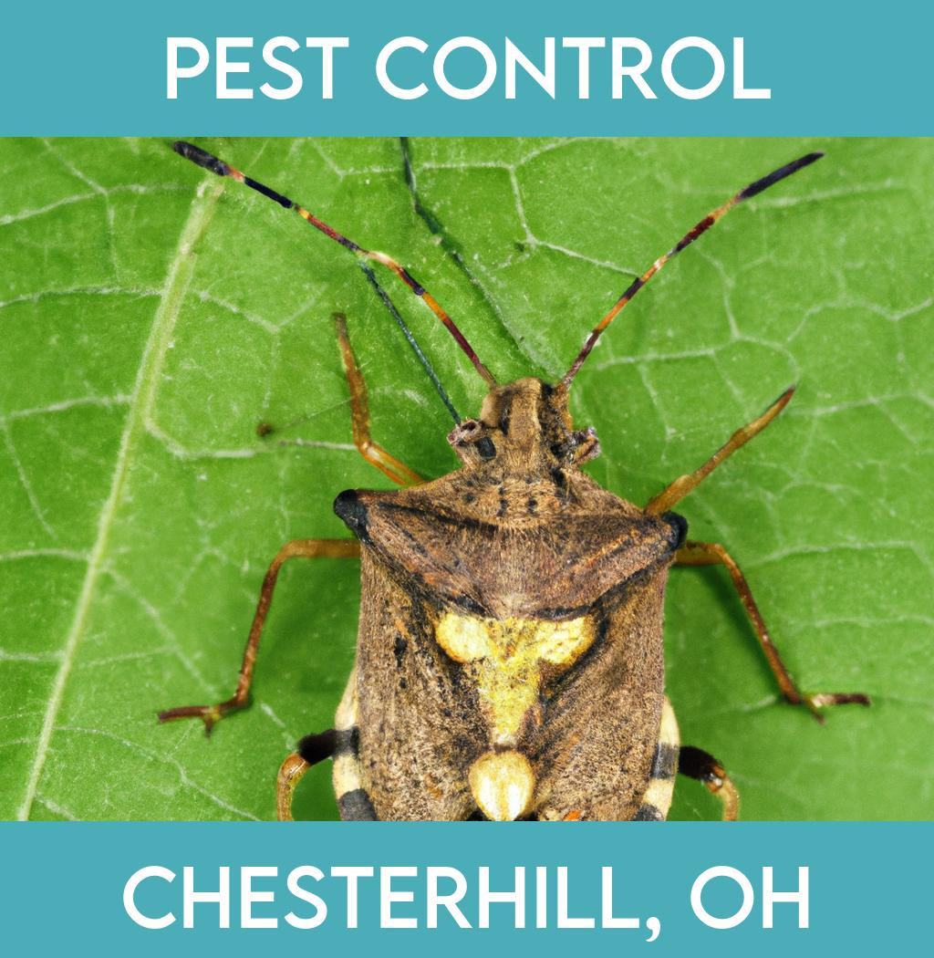 pest control in Chesterhill Ohio