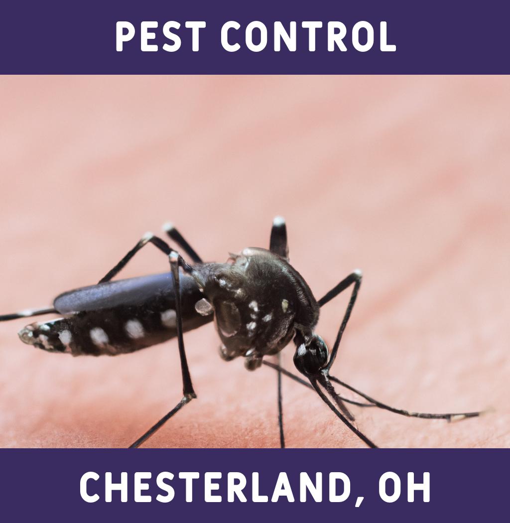 pest control in Chesterland Ohio