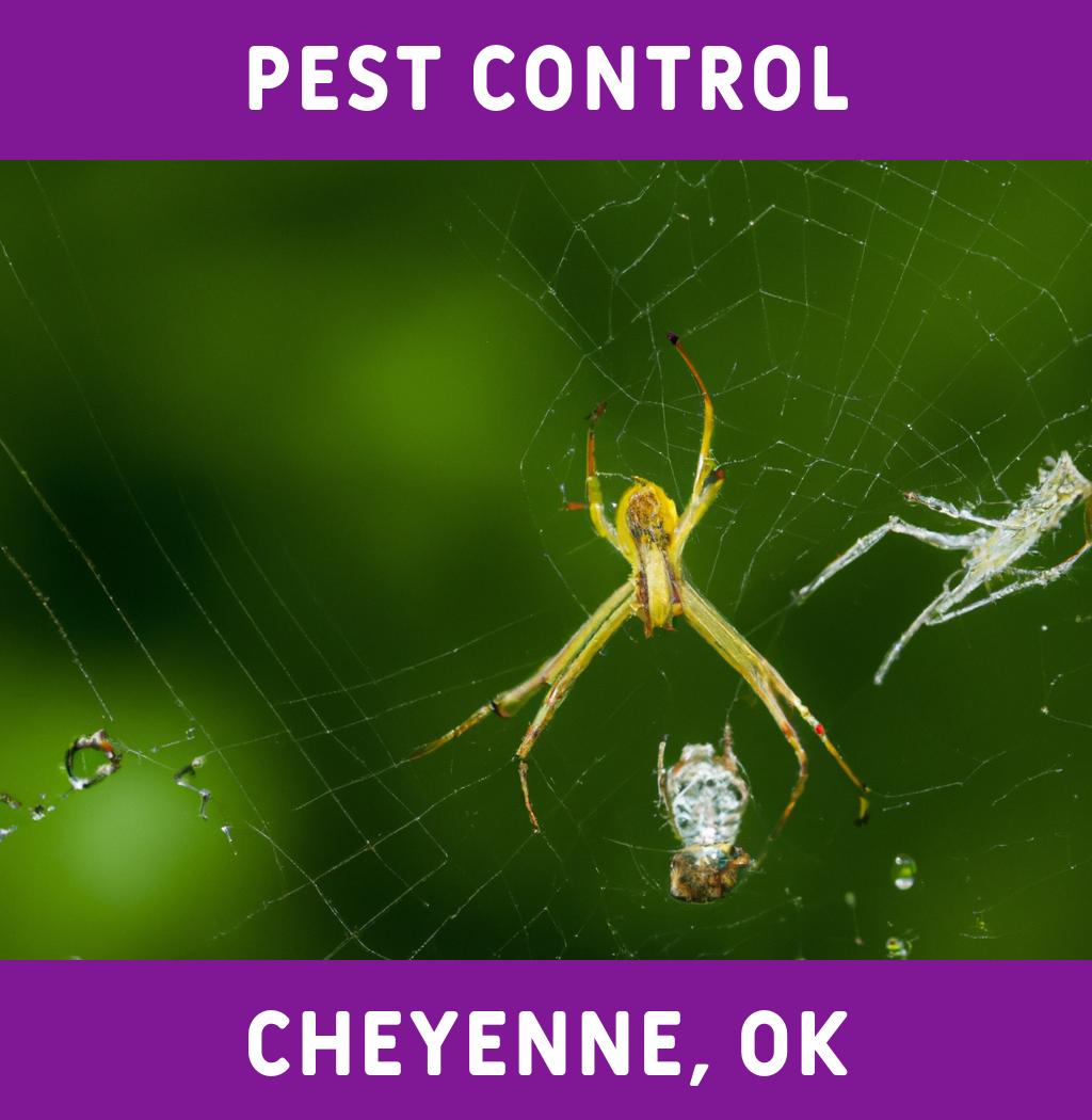 pest control in Cheyenne Oklahoma