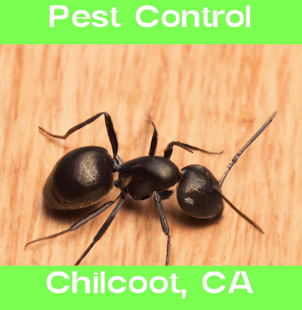 pest control in Chilcoot California