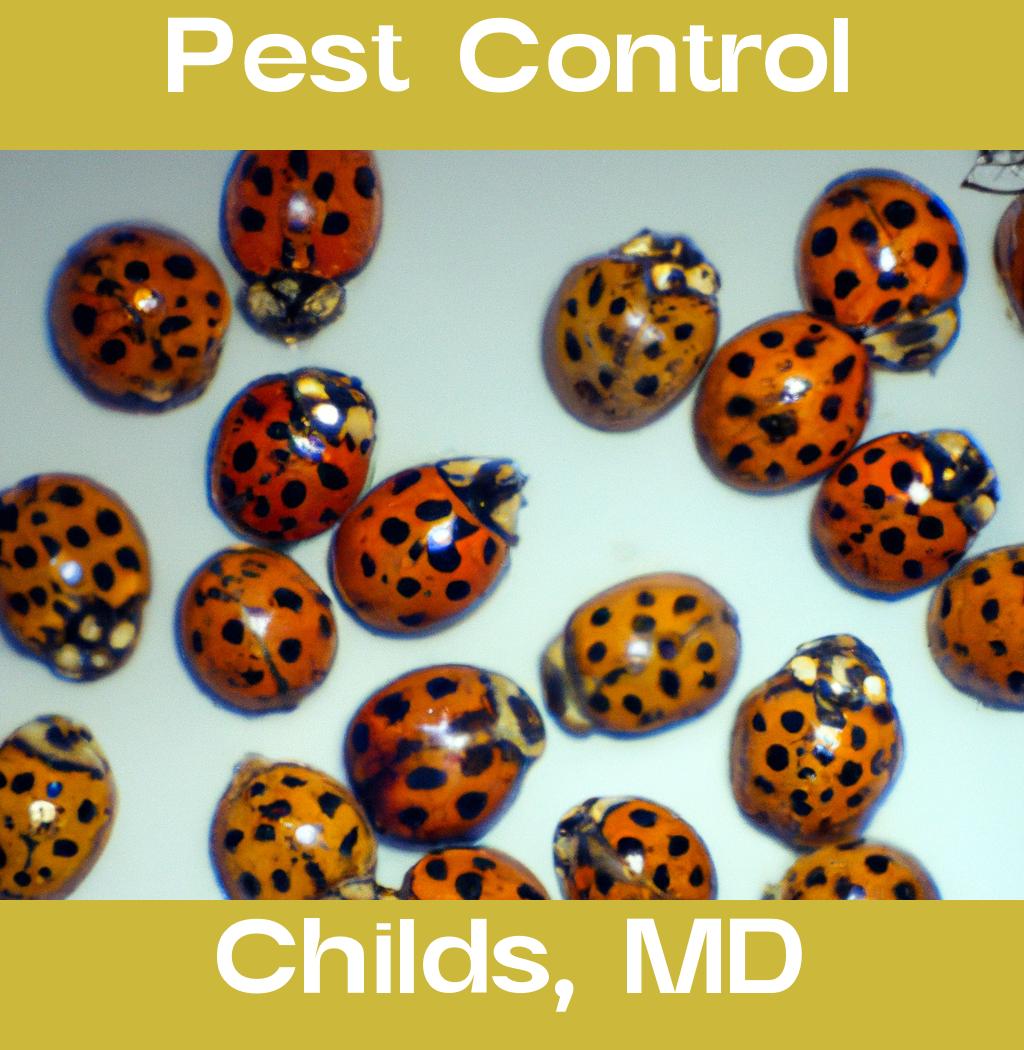 pest control in Childs Maryland