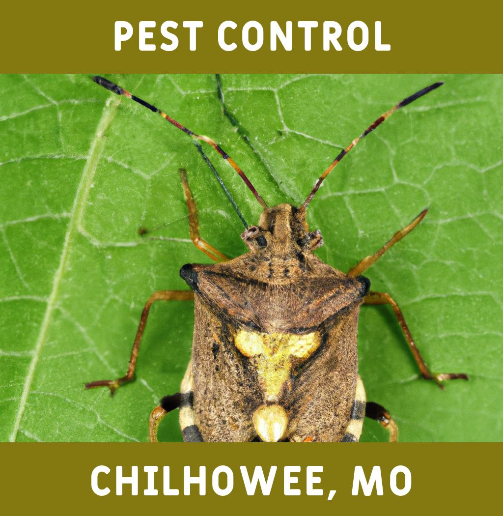 pest control in Chilhowee Missouri