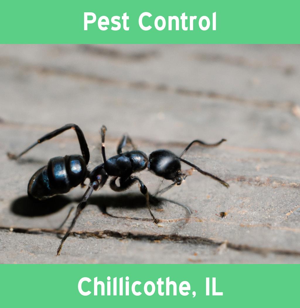 pest control in Chillicothe Illinois