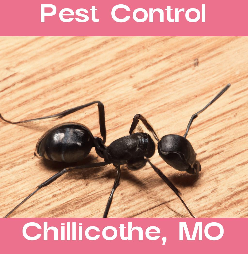 pest control in Chillicothe Missouri