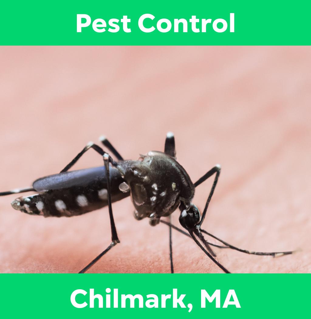 pest control in Chilmark Massachusetts