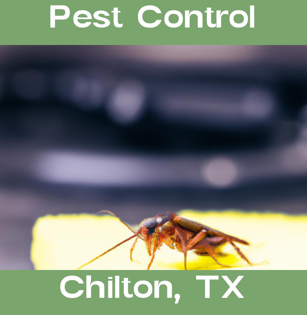 pest control in Chilton Texas