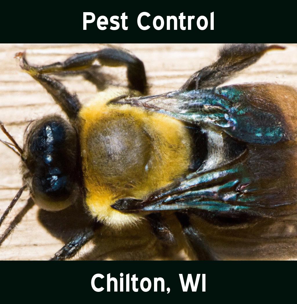 pest control in Chilton Wisconsin