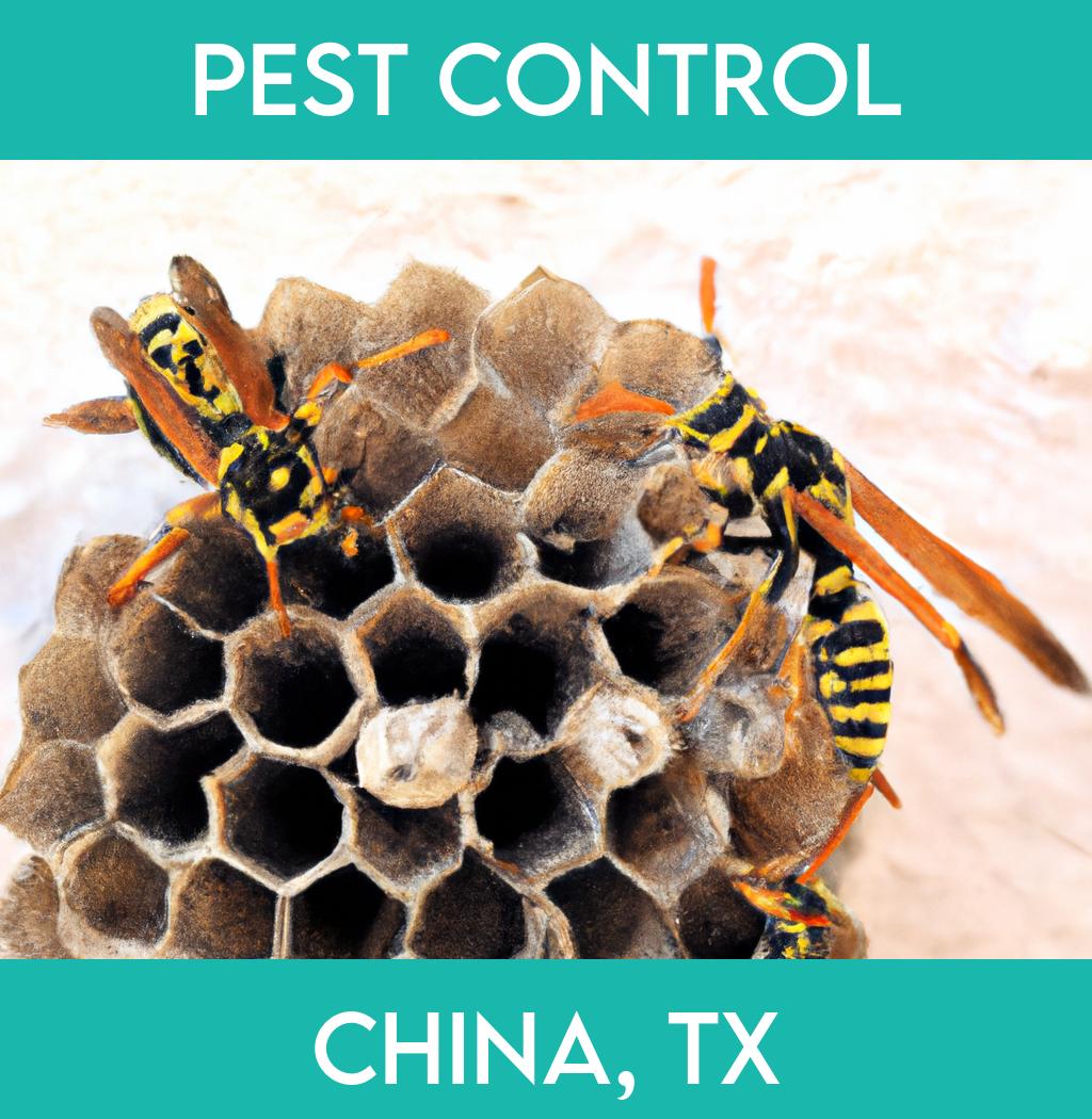 pest control in China Texas