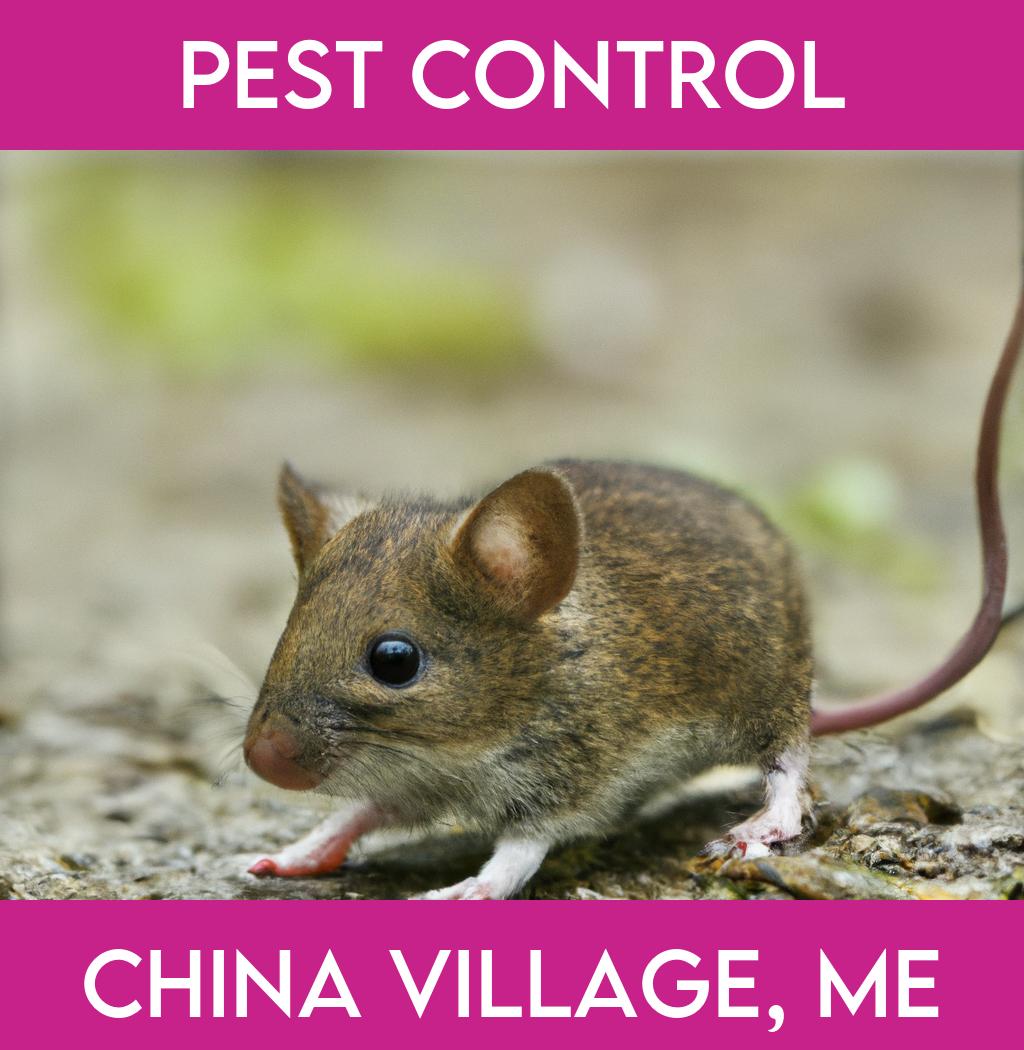 pest control in China Village Maine