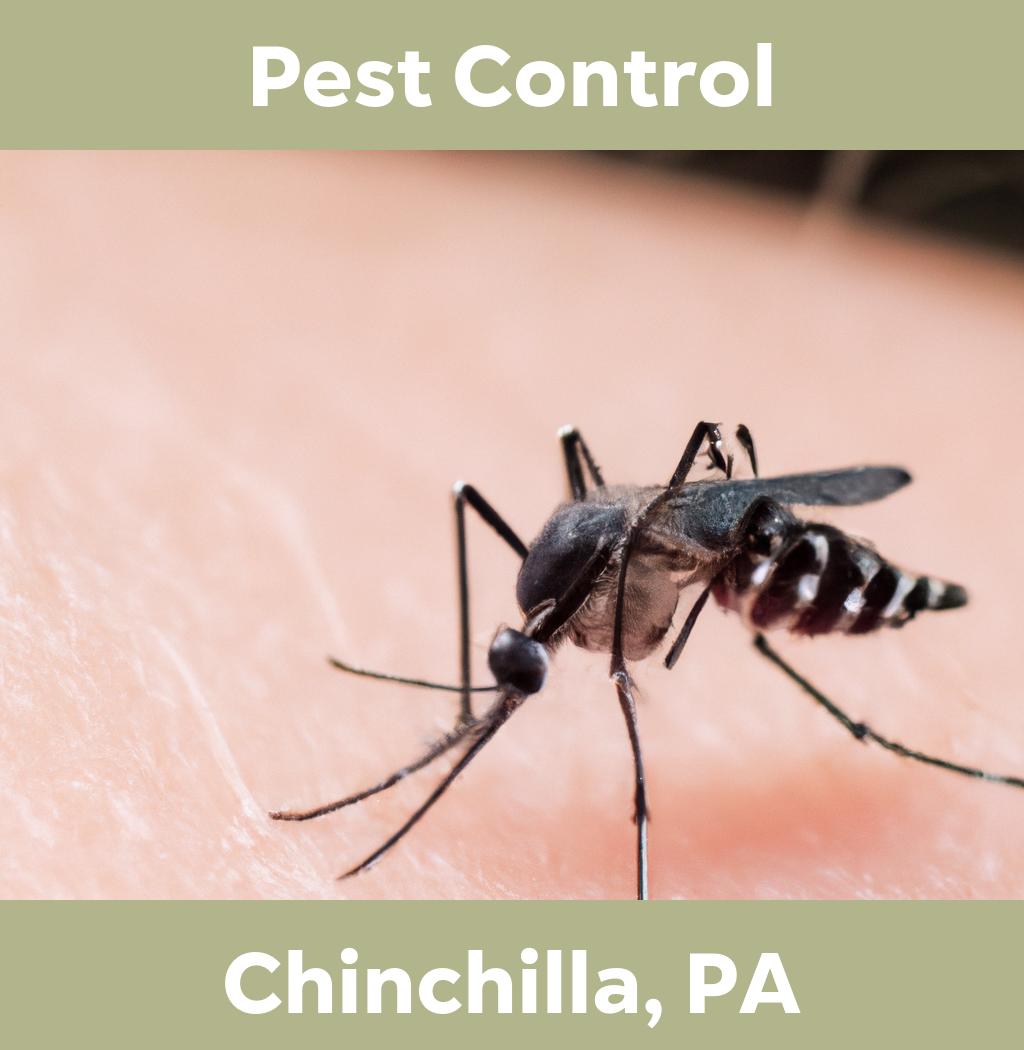 pest control in Chinchilla Pennsylvania