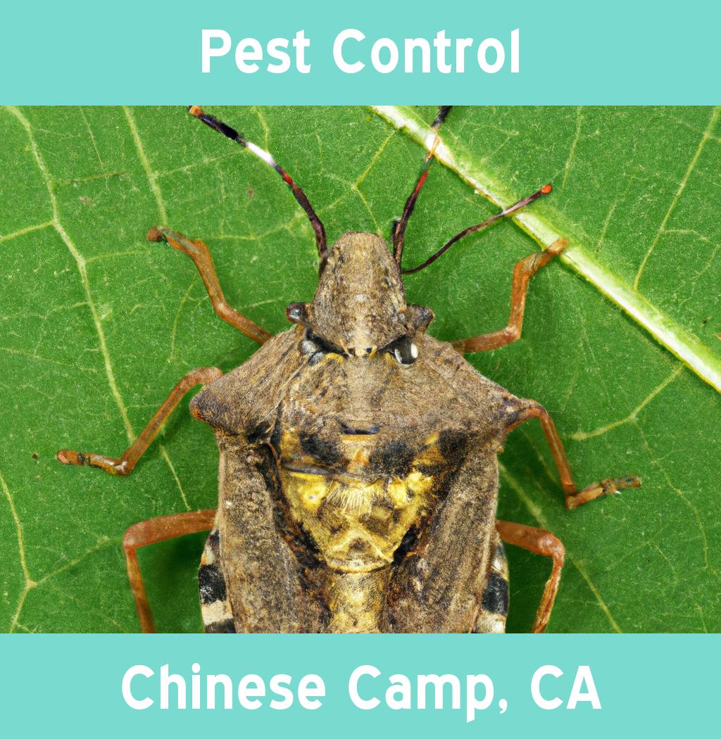 pest control in Chinese Camp California