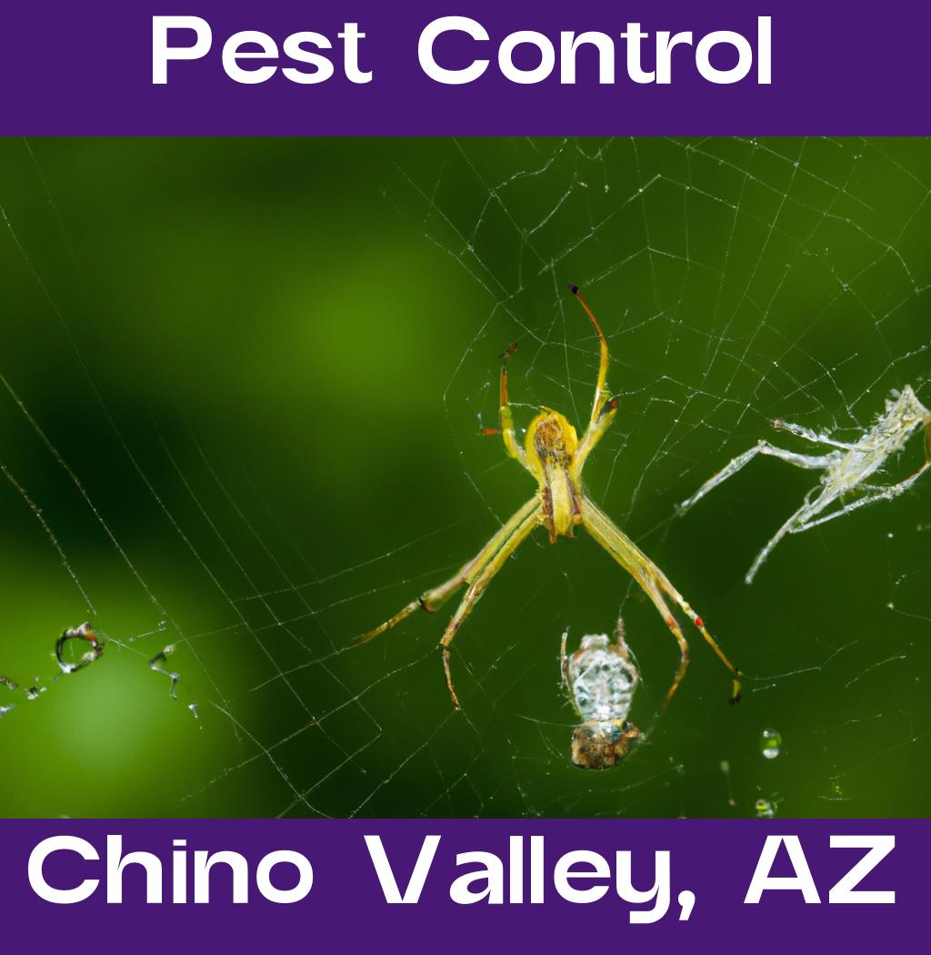 pest control in Chino Valley Arizona